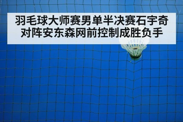 badminton net shot