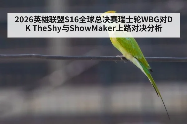 2026英雄联盟S16全球总决赛瑞士轮WBG对DK TheShy与ShowMaker上路对决分析 - kaiyun